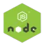 Node JS